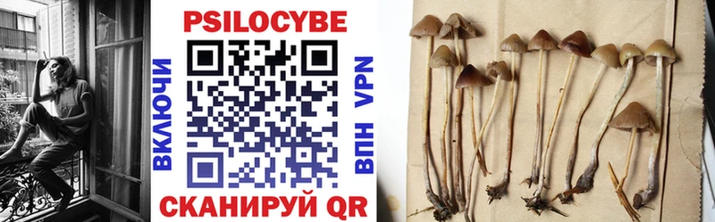 Галлюциногенные грибы мухоморы  где найти наркотики  Курильск 